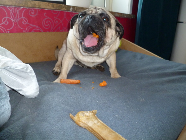 Yummie, Worteltjes!!