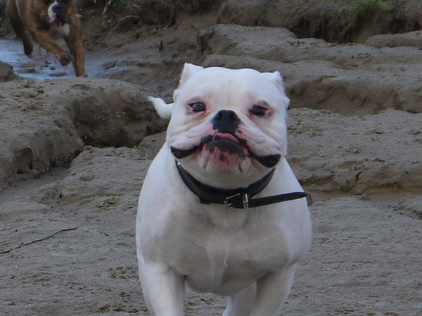 I'm sexy and I know it 