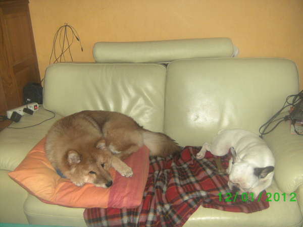 twee vrienden ze kunnen mekander niet missen