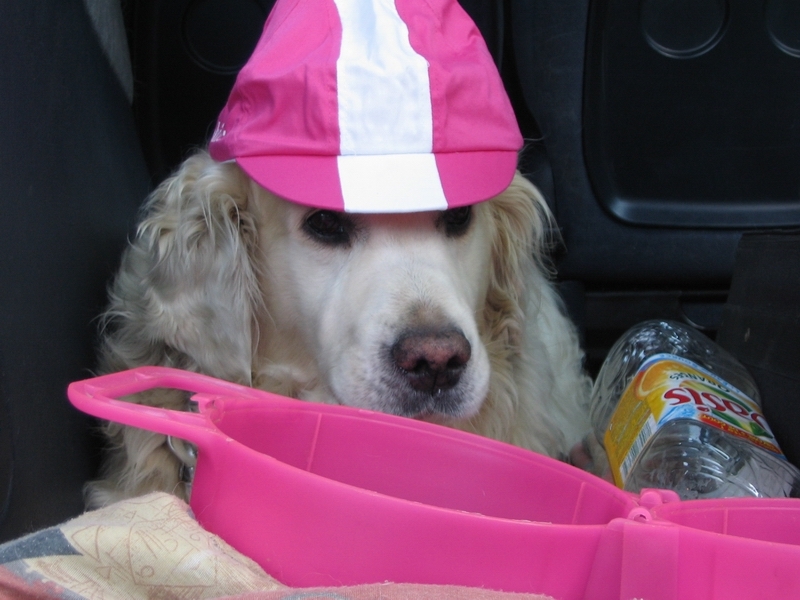 Speedo als supporter van T-Mobile