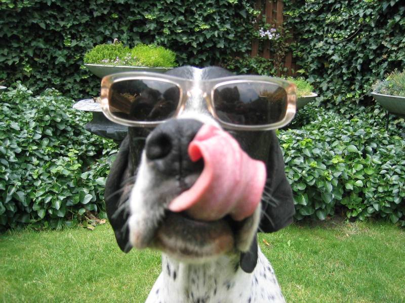 Bo ziet het helemaal zitten