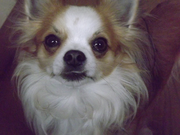 bailey met z'n verkeerde lip 