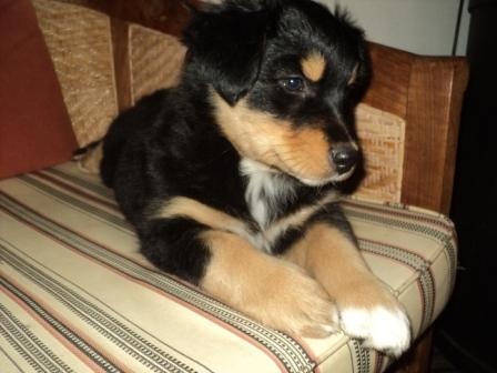 Me and My Best Friend