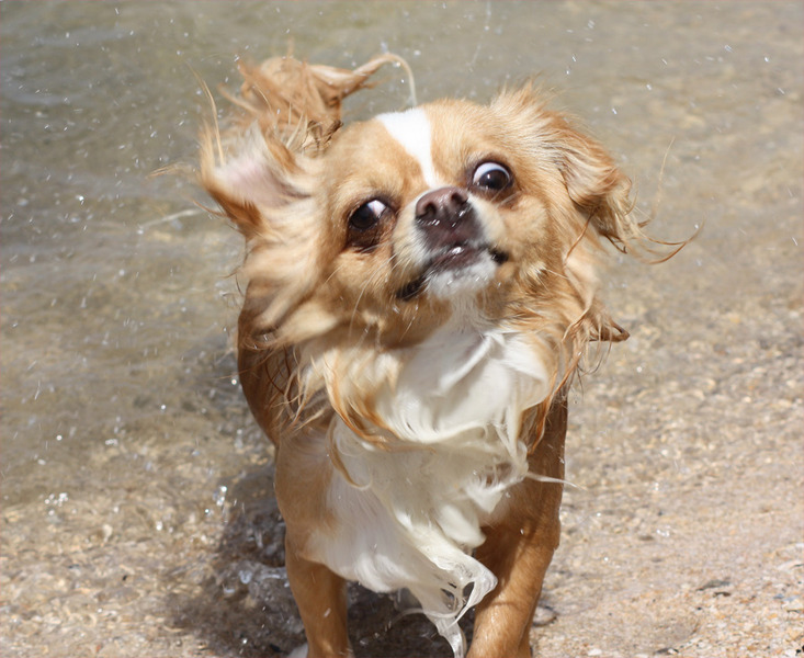 Jay net uit het water!!