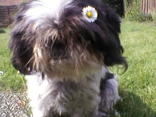 Tiny, ze was gewoon mijn bloempje!