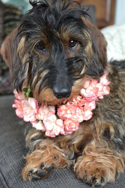 Vrouw, wat  doe je me áán? 