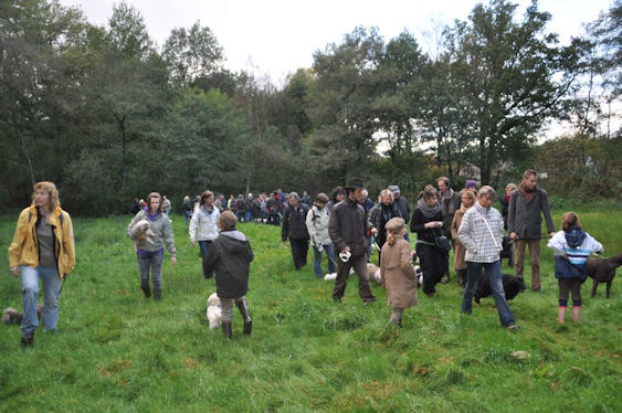 mis Amores Pequenios