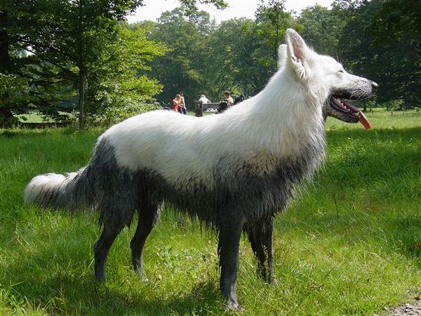 Mexx op zijn normaalst