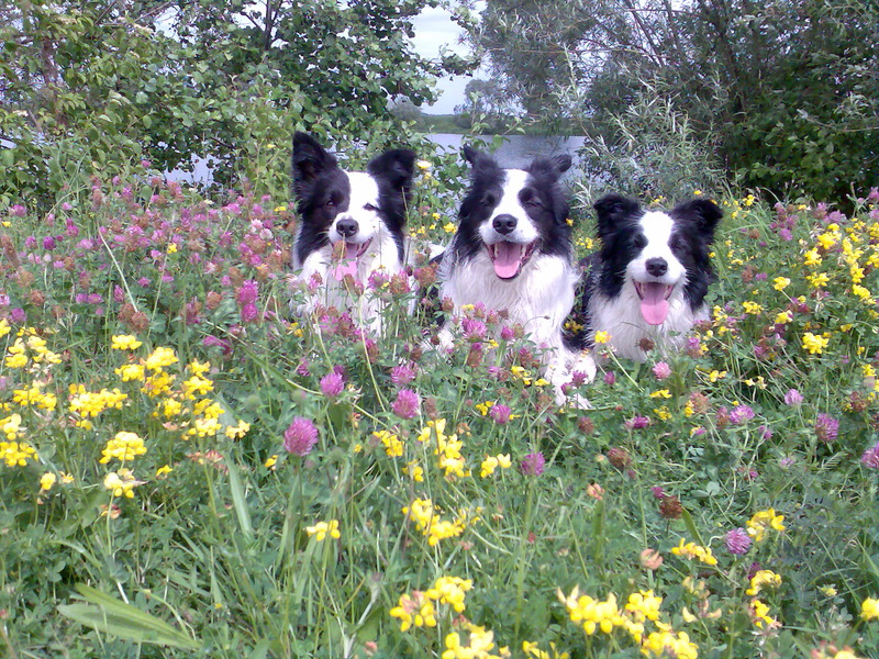 Judy, Jace en Meagan