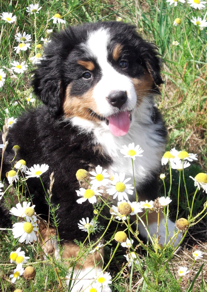 Flower power time ...