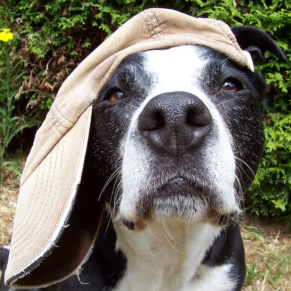 Lekkere stoere kerel! ; - )