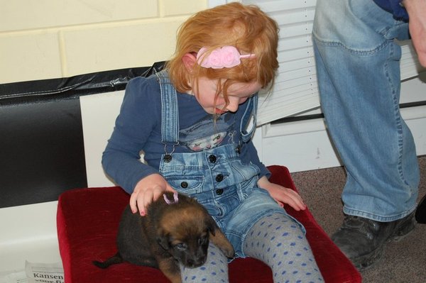 Kennel Van Goeden Huize