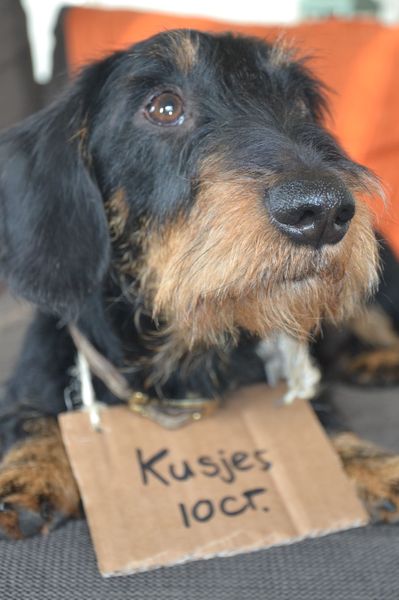 Pepijn staat dit jaar op de rommelmarkt