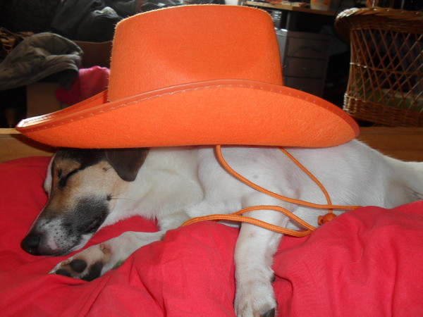 Melo tijdens het WK...