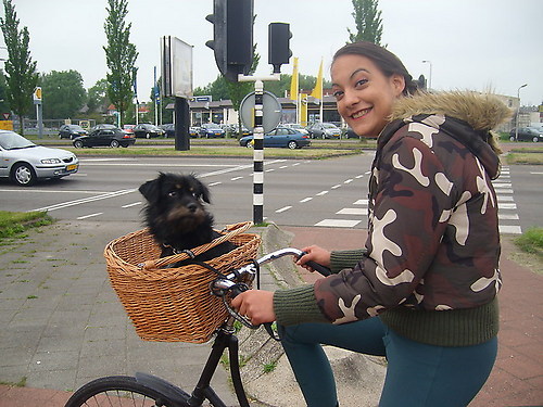 Chicky en nynke 