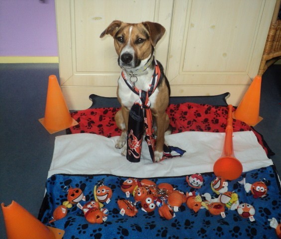 Skip heeft de stemming er n zitten