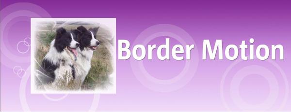 Border Motion