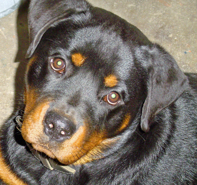 Hij blijft mooi... smelt