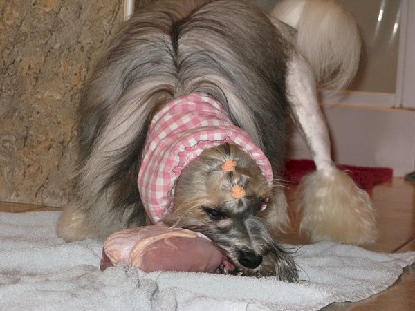 Kai eet een kippenborst