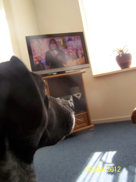 wat is dit allemaal ??