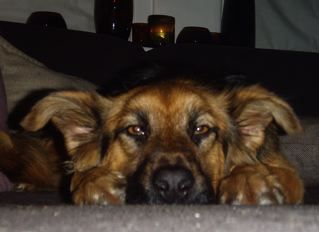 Lola, voorheen Palma