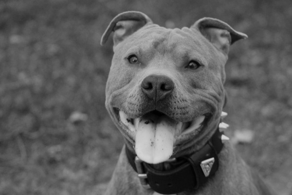 smile :D