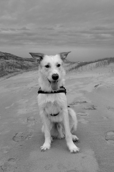 op het strand