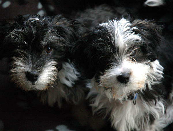 Geen zwart/wit foto, maar wel zwart/wit, toch?