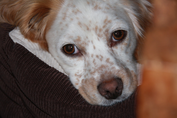 kijk hoe lief ik ben