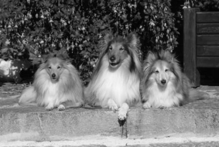 Oostenrijkse schoonheid