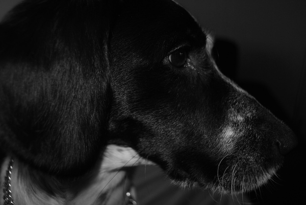 Billy 
