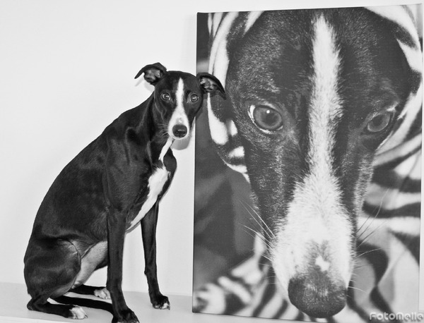 Sta ik niet mooi naast mijn eigen Canvas? ;-)