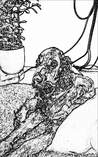 Guinness of the Autumm Sun