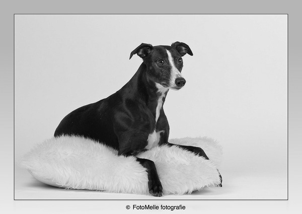 Zoë poseert graag voor mij