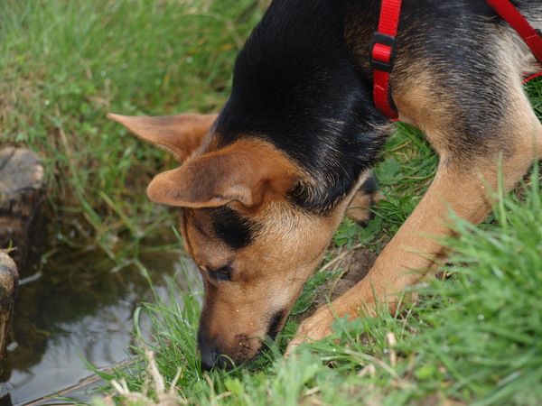 Wat is dat nu weer ??