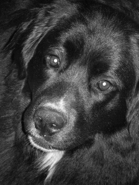 mine love TESSA