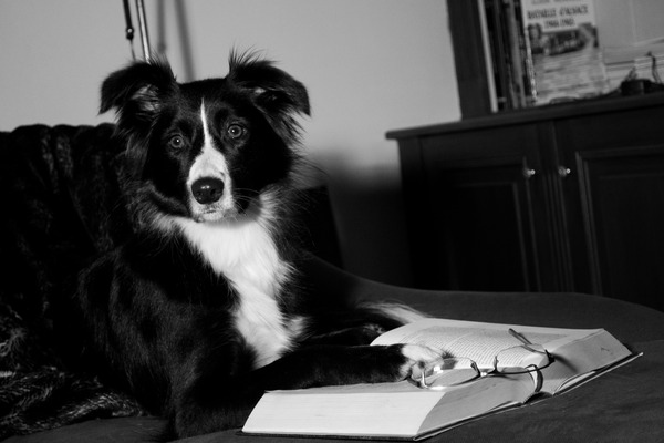 No talking in the library please!