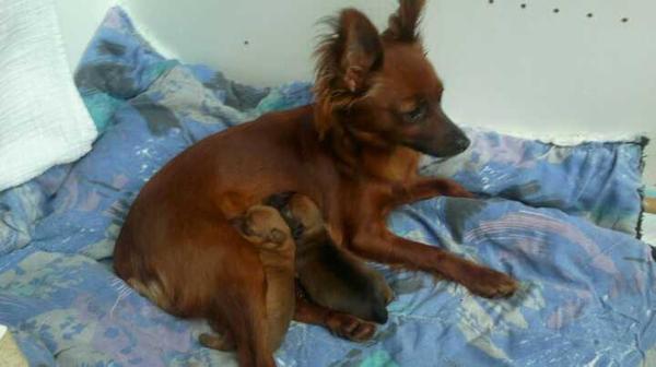 Natascha Jongeneelen