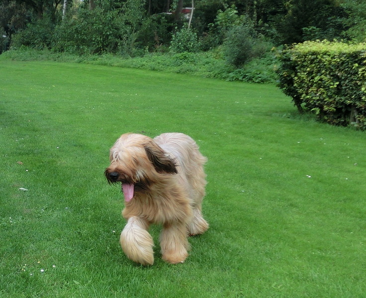 Du Chateau d' Astarte