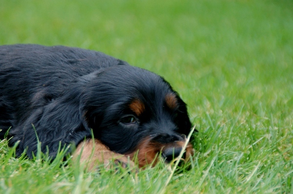 From the Moorland Friends