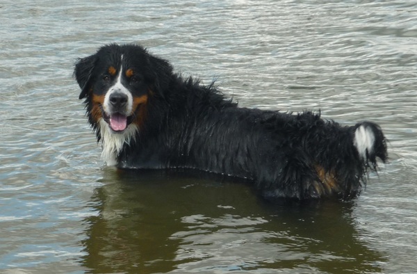 Jeromeke aan het genieten van het water