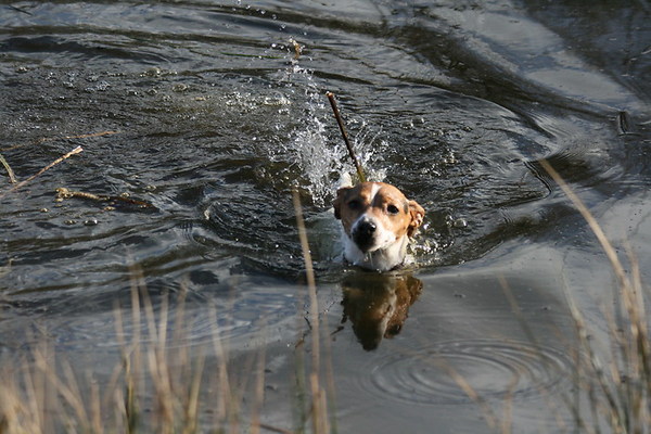 Kelly moeder van Mike en Noa
