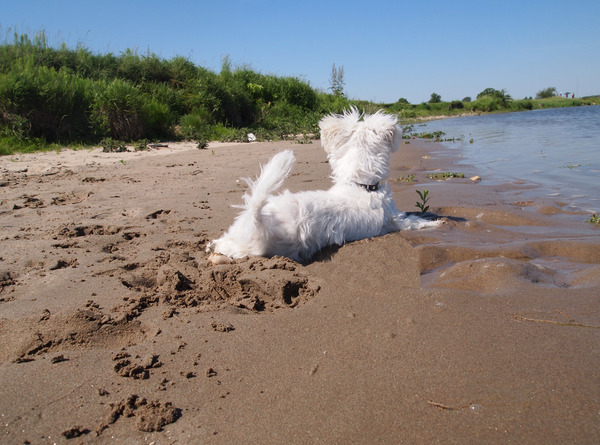Lekker in het koele zand