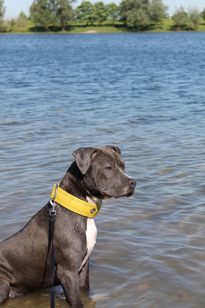 princess at the water