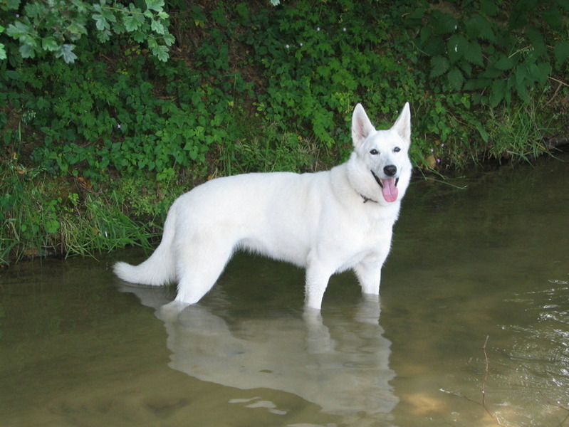 Sara helemaal in haar element