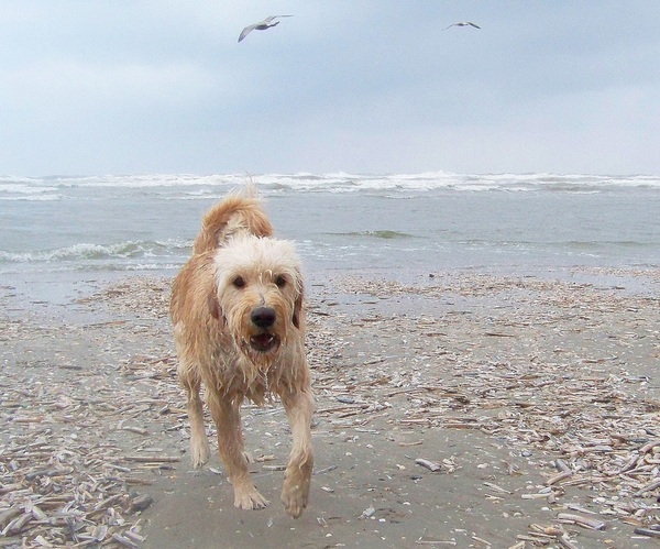 Lekker naar de zee...