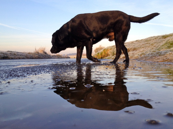 mooie weerspiegeling