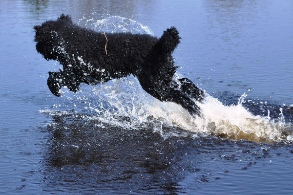 Ik kan op het water lopen