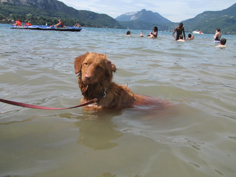 zittend in het water afkoelen