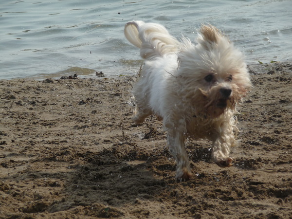 vieze masha... maar wel heerlijk al dat water!